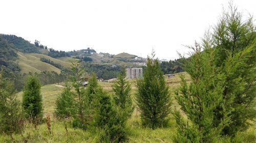 Novedades TierraViva