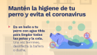 Tenencia de mascotas