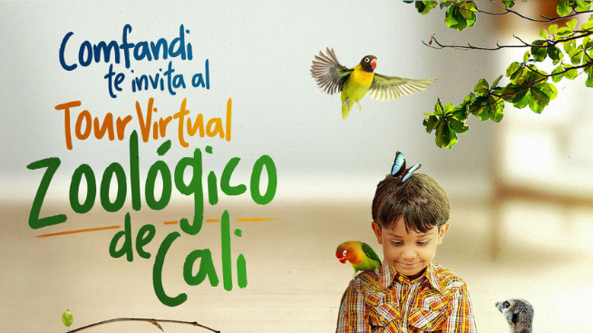 Visita virtualmente el Zoológico de Cali con Comfandi