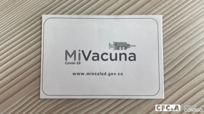 Por ley debemos portar el carné de vacunación
