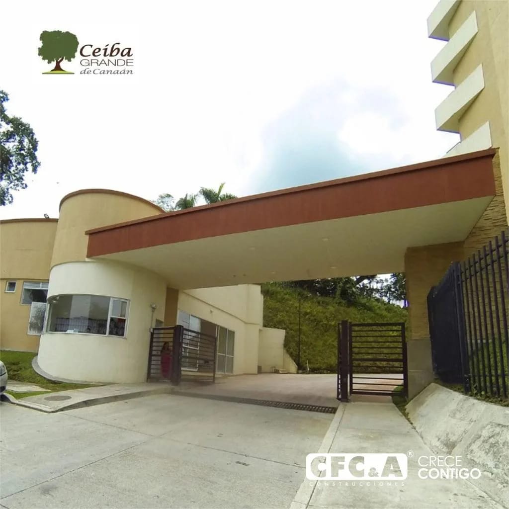 ceiba_grande_CFC_3
