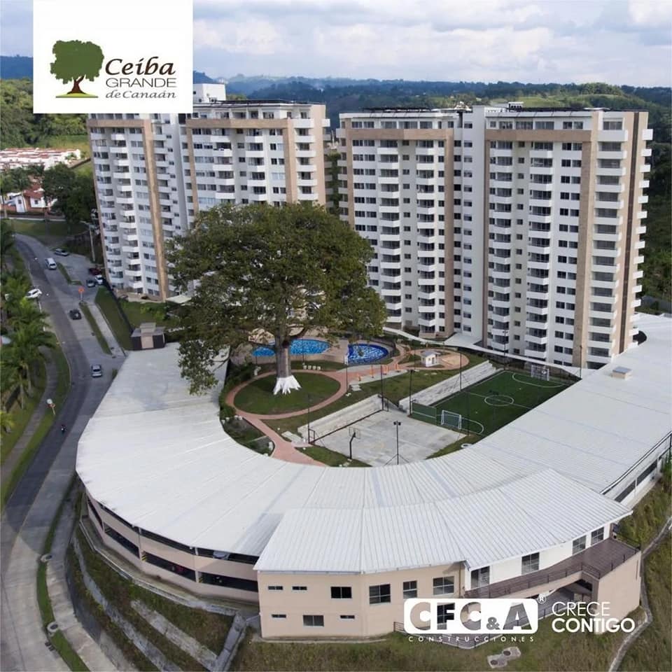 ceiba_grande_CFC_5