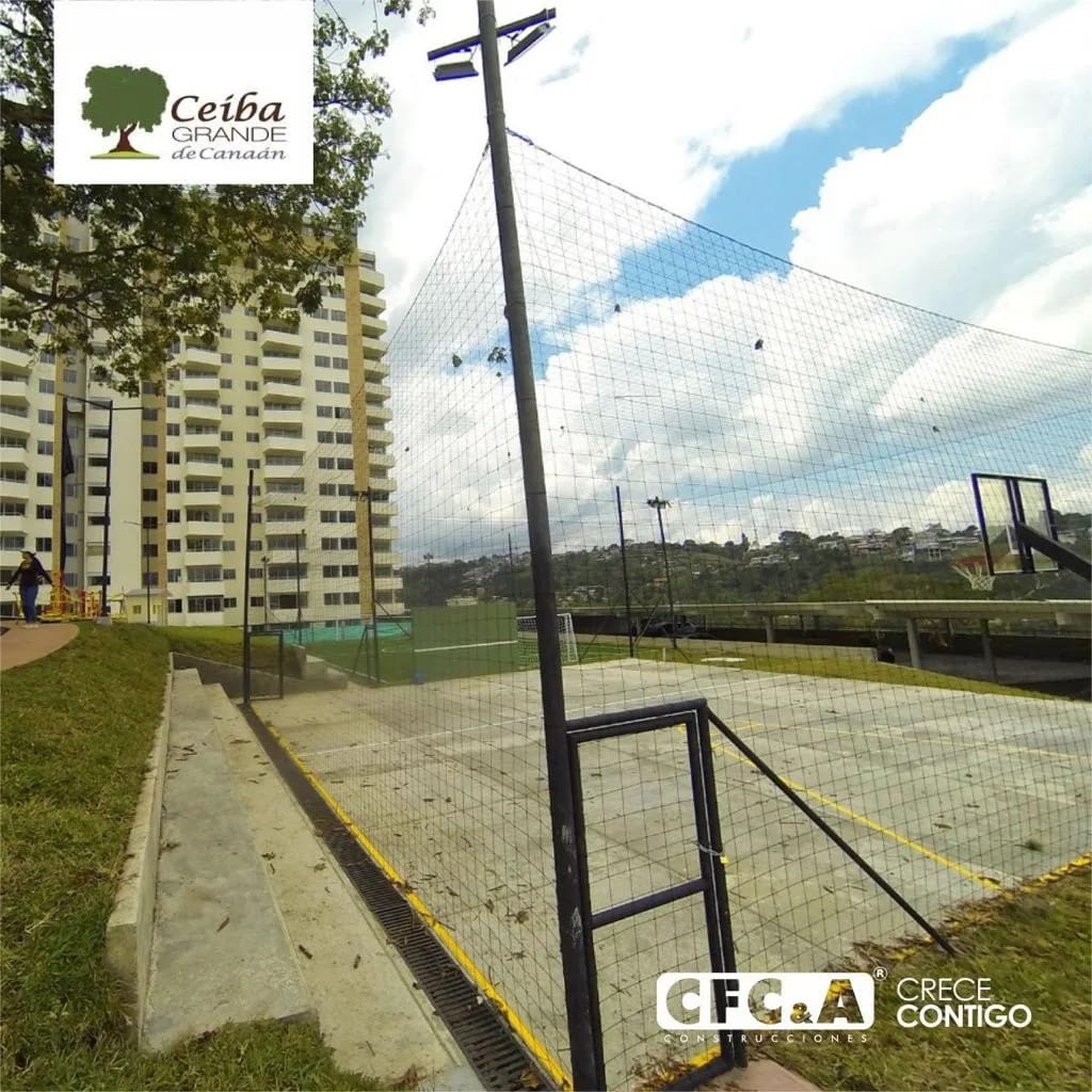 ceiba_grande_CFC_6