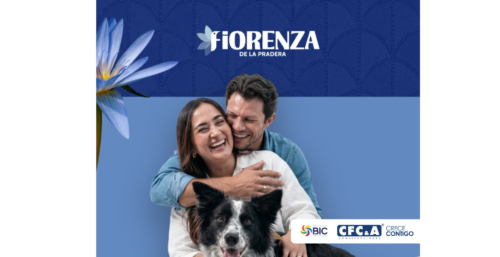 Lanzamiento