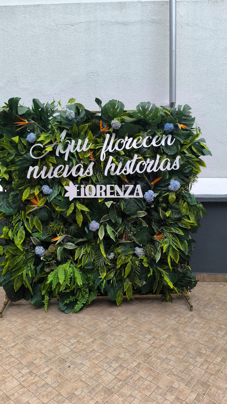 Lanzamiento Fiorenza (6)